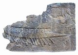 This Assyrian ship was probably built and possibly manned by Phoenicians employed by Sennacherib, the son of Sargon II of Akkad, whom he succeeded on the throne of Assyria (705 – 681 BC).<br/><br/>

It is a bireme, with two rows of oars. Shields are fastened around the superstructure, as on the fortifications of some city walls. The pointed bow is a ram, for piercing enemy shipping.